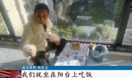 全家带凳子吃瓜全集免费观看,一场欢乐的夏日盛宴