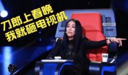 那英爆料刀郎视频,一段鲜为人知的音乐传奇