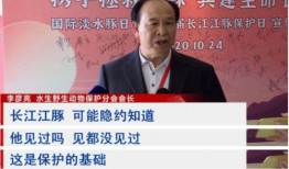 莱州融媒爆料事件视频,视频揭露惊人真相