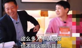娱乐吃瓜汪小菲小说阅读,汪小菲的豪门生活揭秘