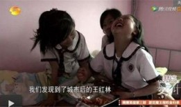 变形记王红林在线观看,探寻人性与命运的交织