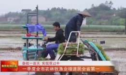 双锋镇第一季在线观看,在线观看，揭秘神秘小镇的惊悚故事