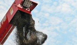 双锋镇第一季在线观看,在线观看，揭秘神秘小镇的惊悚故事