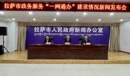 拉萨新闻爆料,揭秘最新爆料背后的真相