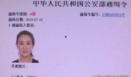 鲁明媳妇爆料视频播放全集,惊人内幕曝光