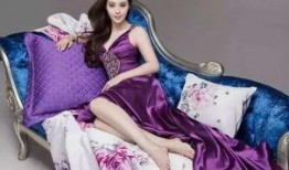 王蓉爆料范冰冰视频播放,真相与争议