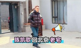 陈凯歌家庭爆料视频,揭秘导演背后的家庭生活