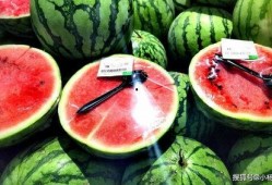 各种吃瓜网红精品视频,揭秘热门视频背后的精彩故事