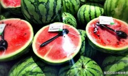 各种吃瓜网红精品视频,揭秘热门视频背后的精彩故事