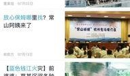 最新社会爆料新闻内容,最新社会爆料事件背后的真相与影响