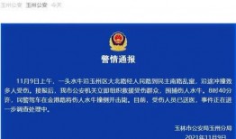 广西玉林新闻最新爆料