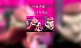 影视娱乐每日爆料,每日爆料背后的精彩故事