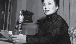 宋美龄最新爆料视频大全,最新爆料视频大全背后的故事与真相