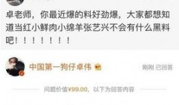 卓伟爆料娱乐圈人生,娱乐圈人生百态，揭秘明星幕后真相