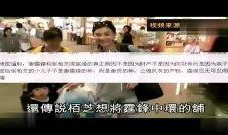 综艺爆料生子视频合集免费观看,明星生子视频合集免费放送，温馨瞬间尽收眼底