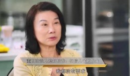 雷厉风行媳妇爆料视频大全,揭秘娱乐圈背后的真实故事