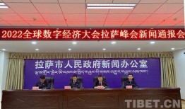 拉萨新闻爆料,揭秘最新爆料背后的真相