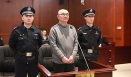 甫田案最新爆料,最新爆料揭露惊人内幕