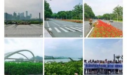 广西有名新闻爆料网站有哪些